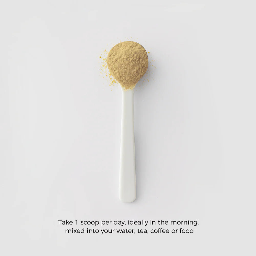 Lions Mane Powder